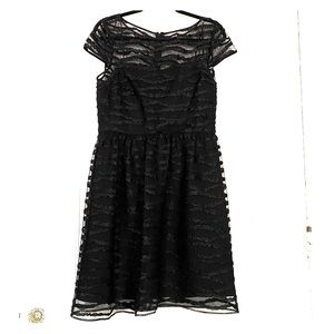 NWT. Karl Lagerfeld black sheer dress